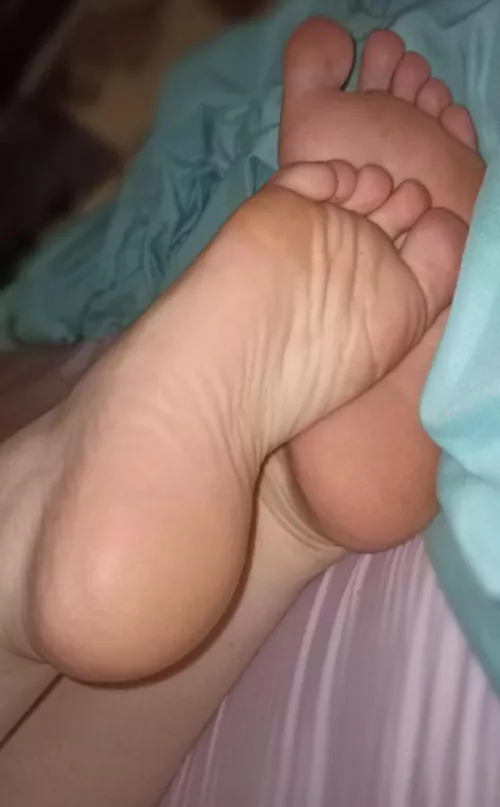 do you wanna play with them?🥺