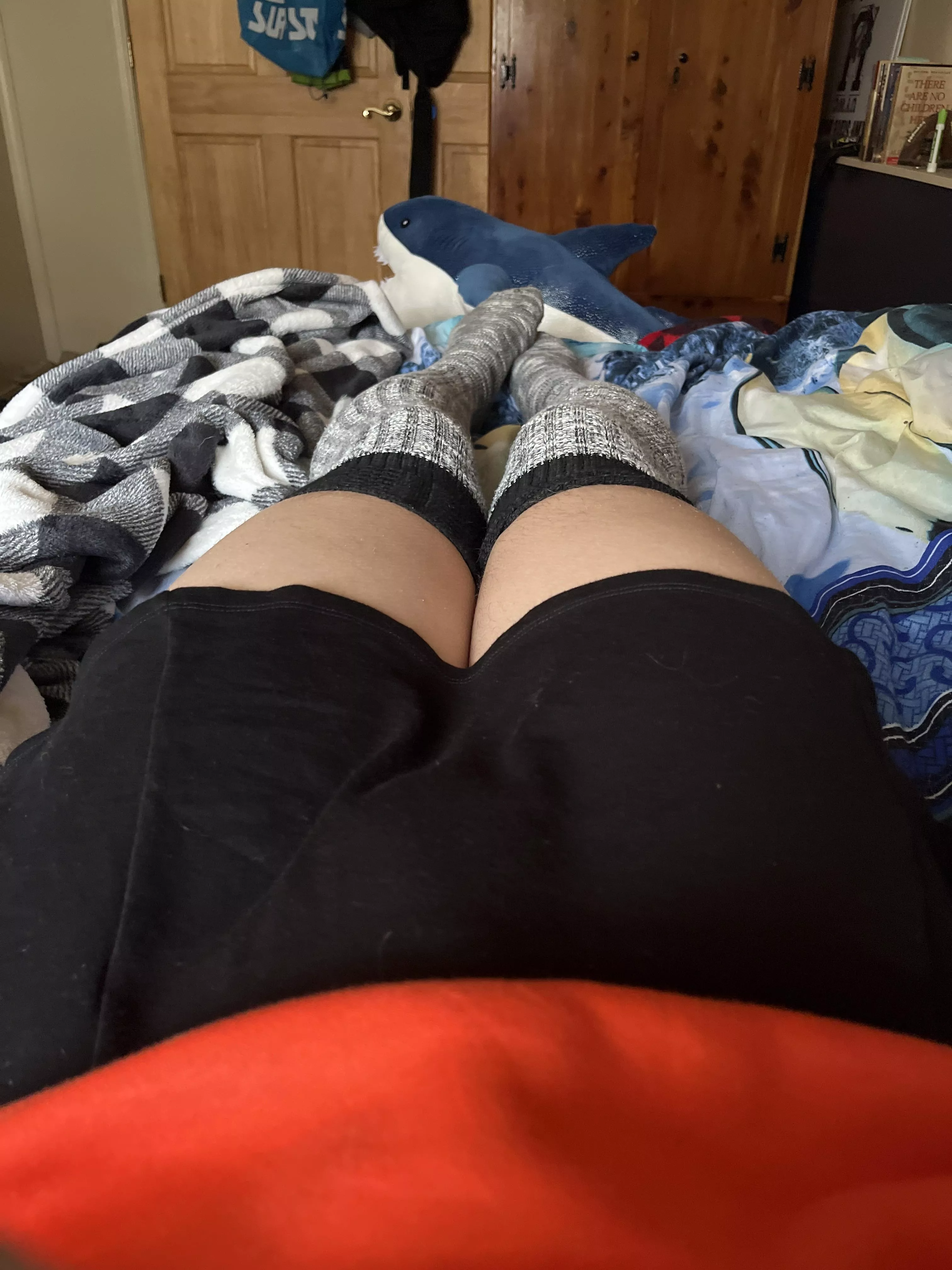 Good Morning everyone :3