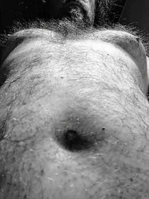 Hey is this bear hairy?