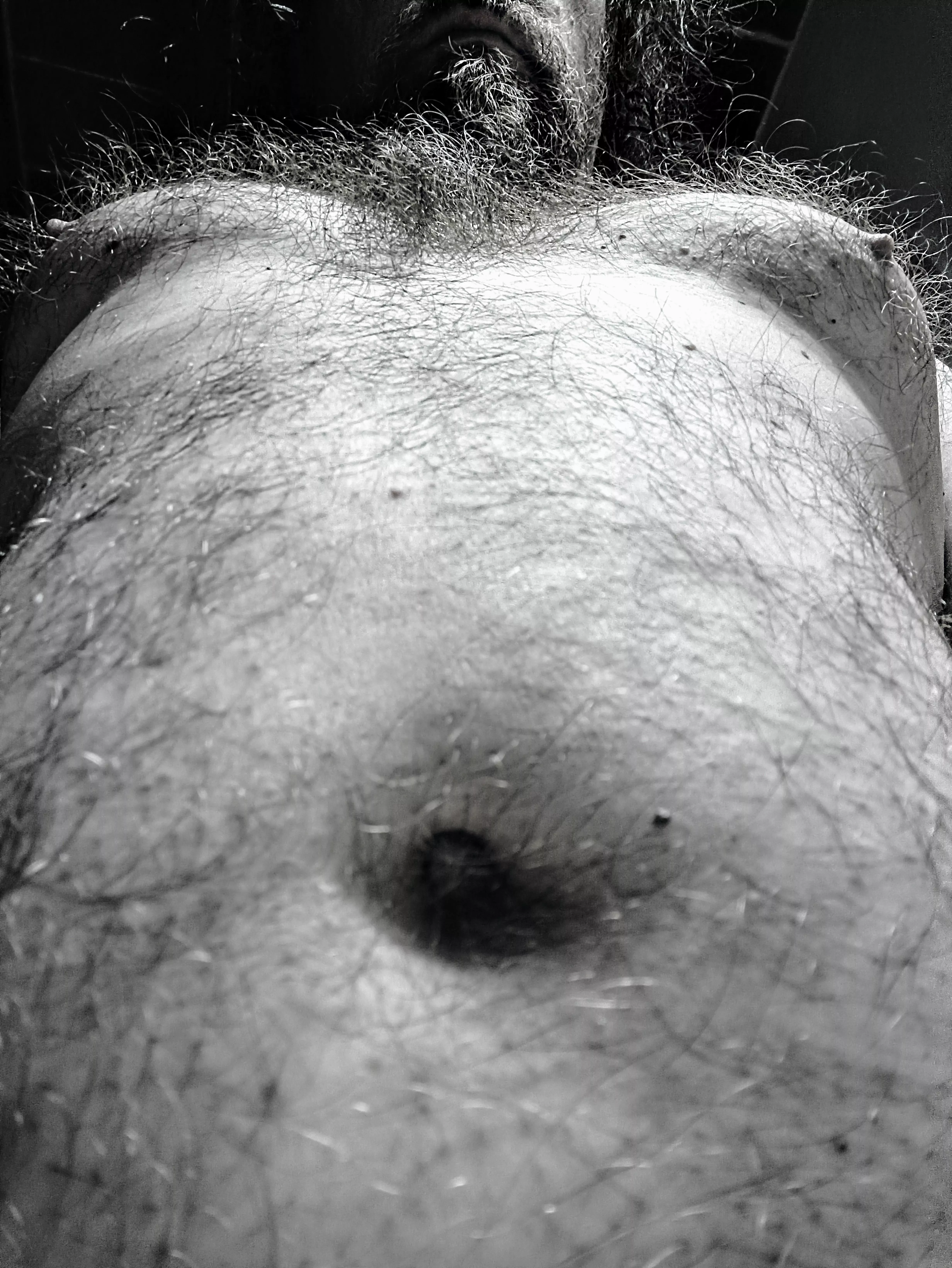 Hey is this bear hairy?