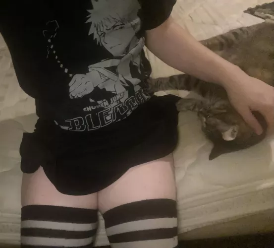 My cat is the cutest 