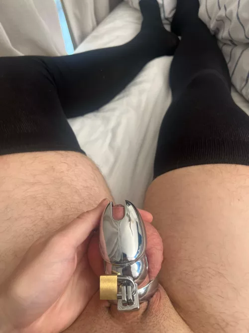 My first ever cage just arrived!