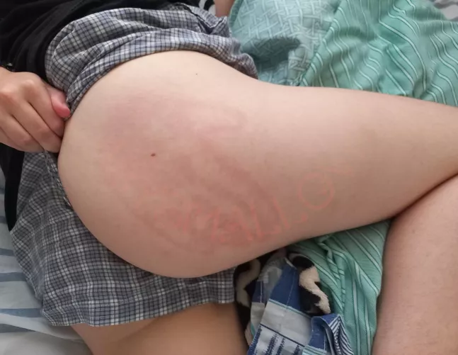 my owner loves marking his territory 