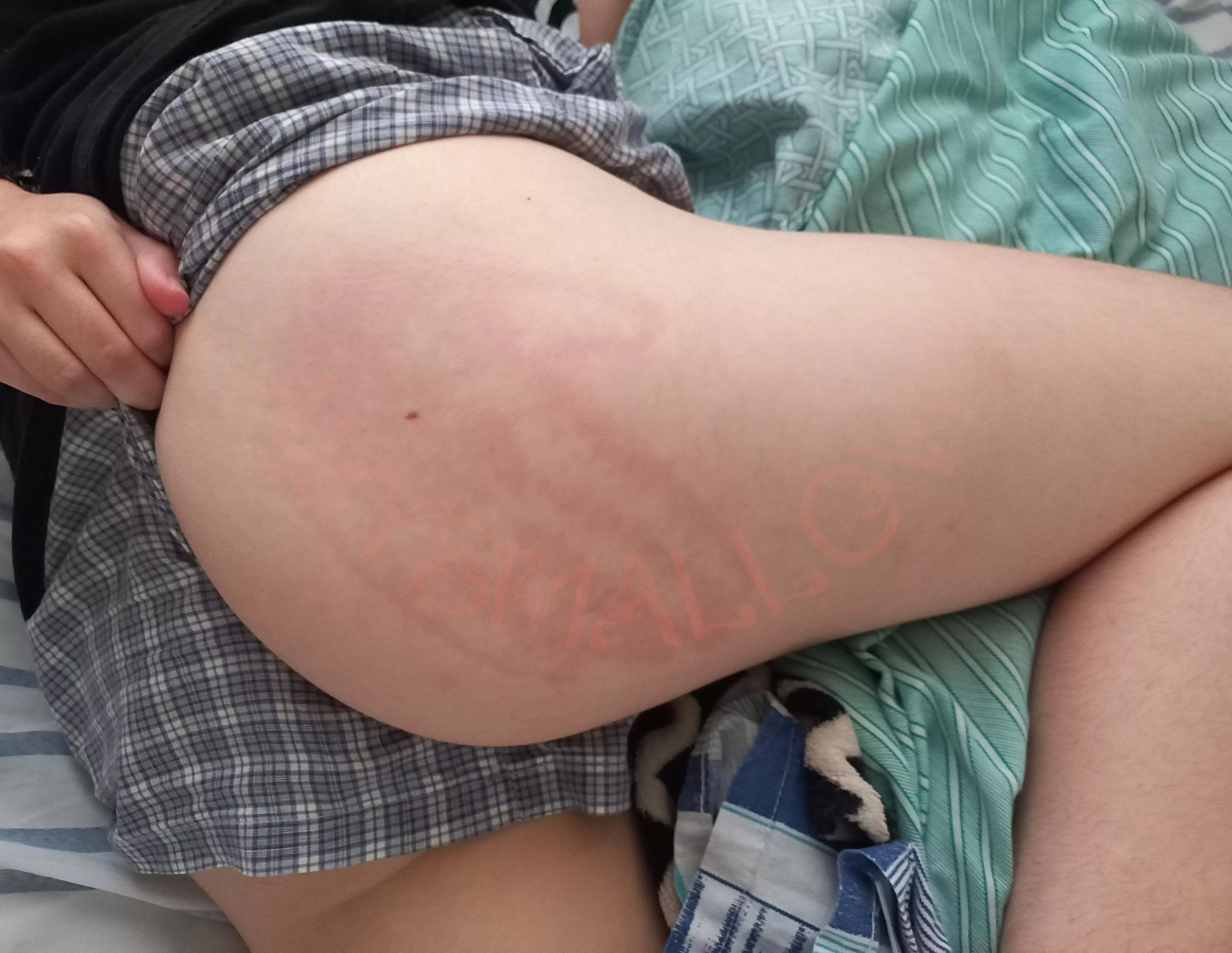 my owner loves marking his territory 