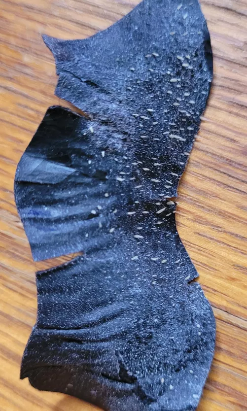 My pore strip from today.
