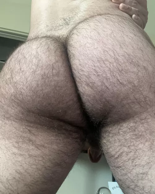 Needing a big bear to breed me