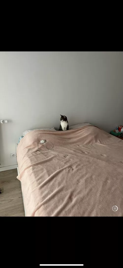 Should I buy a green screen ?