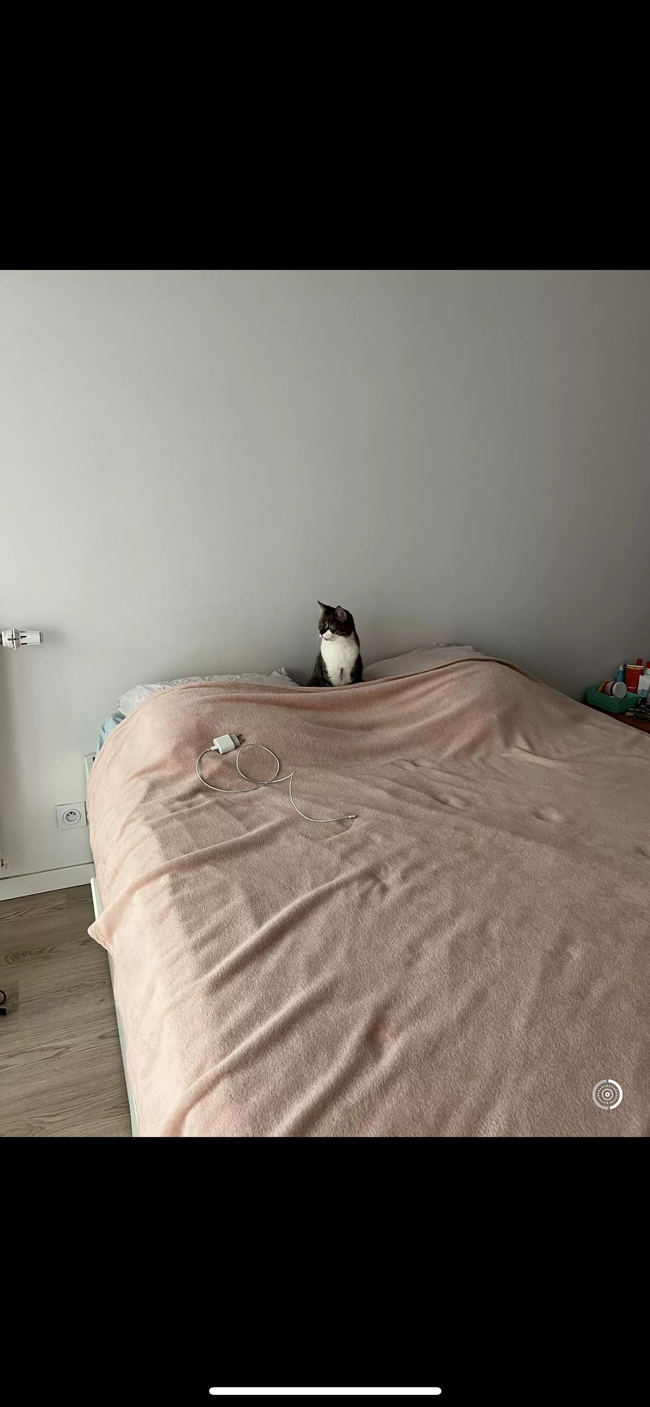 Should I buy a green screen ?