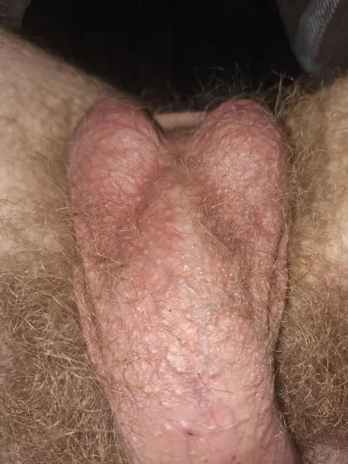 Smell my hairy crotch/balls?