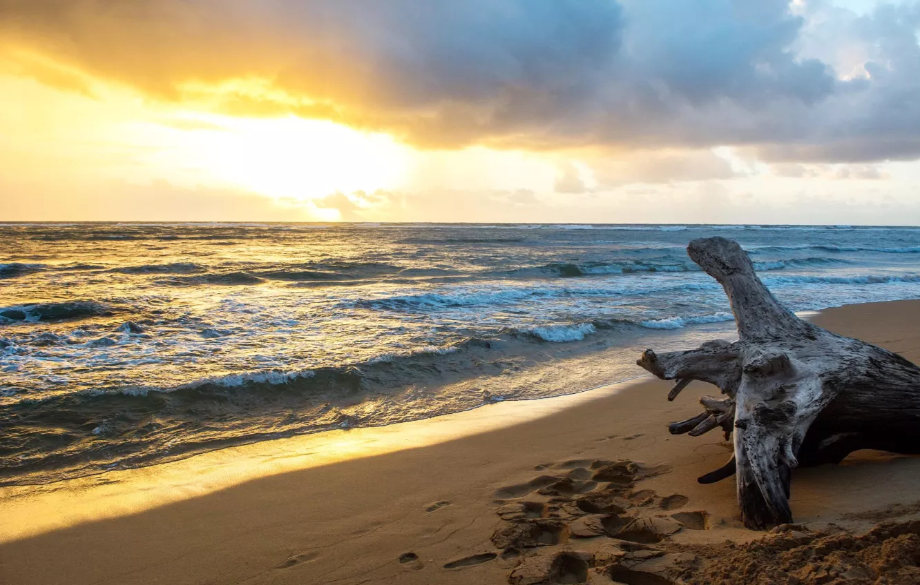 The island of Hawaii