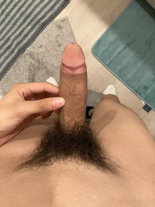 thick hairy latino cock just for u