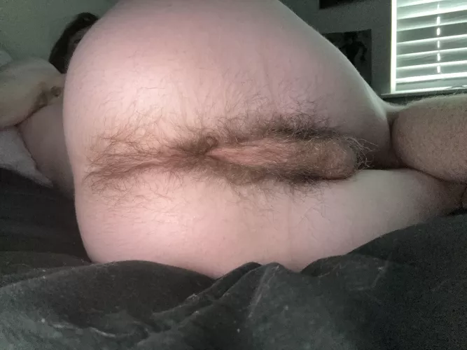 this ass needs filling