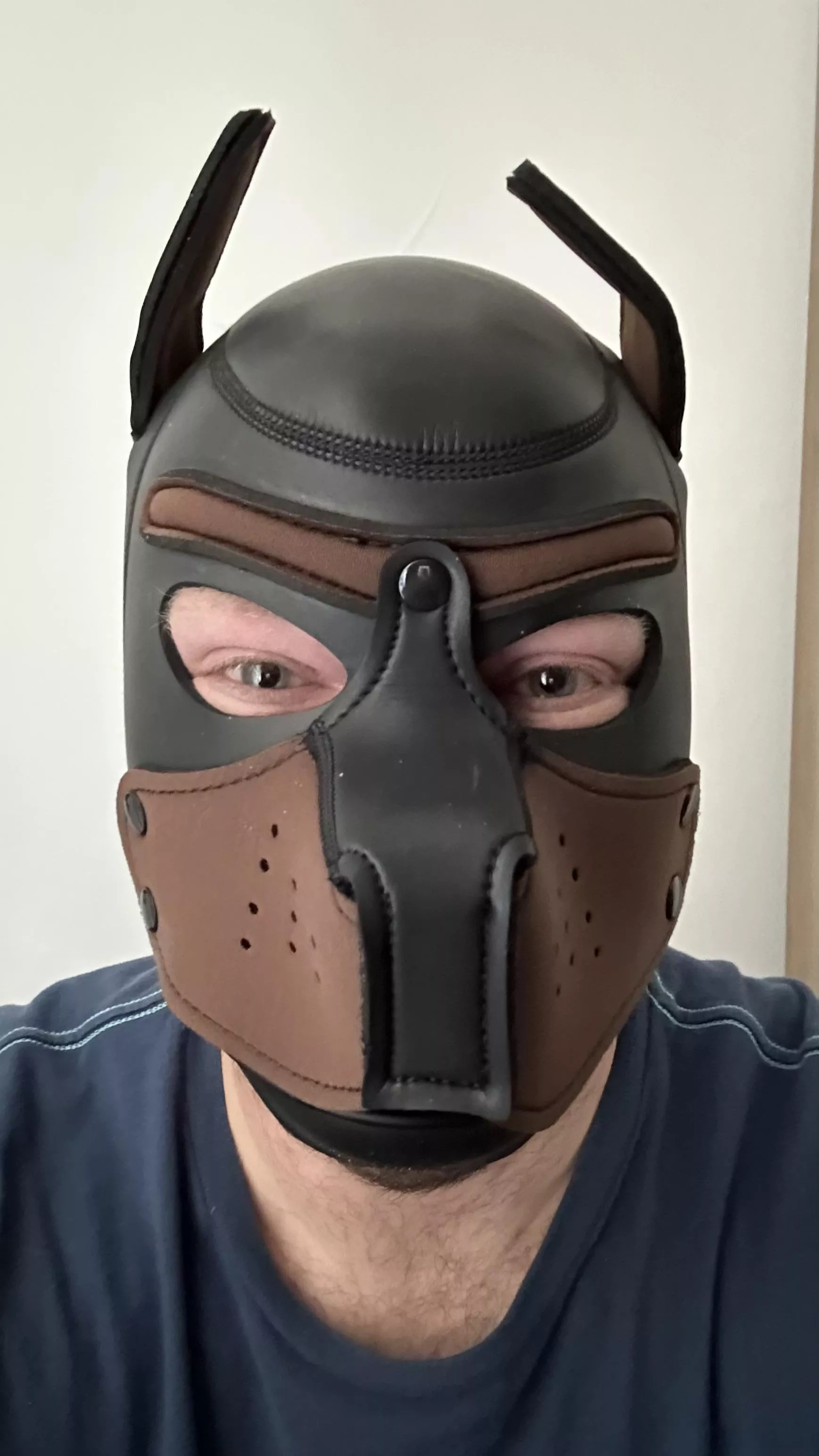 Today I really joined the puphood, with my first pup hood 🐶