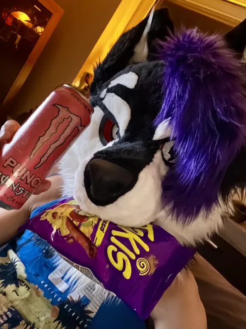 What about you, me, this bag of Takis and this can of Monster and we watch Clarksons Farm together?~ Happy FursuitFriday !