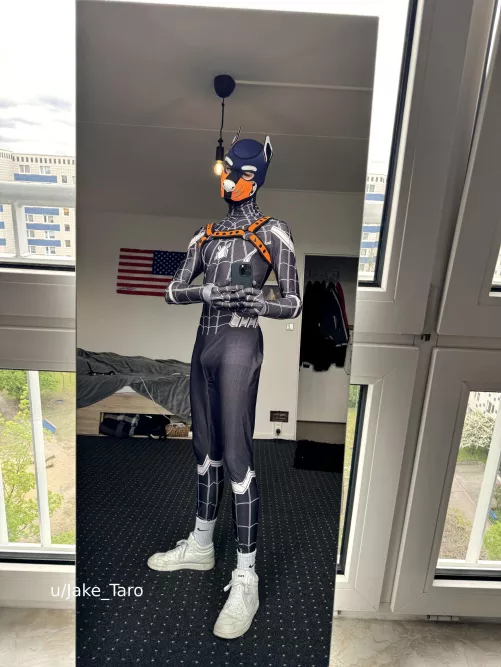 (20) spidey pup reporting for duty