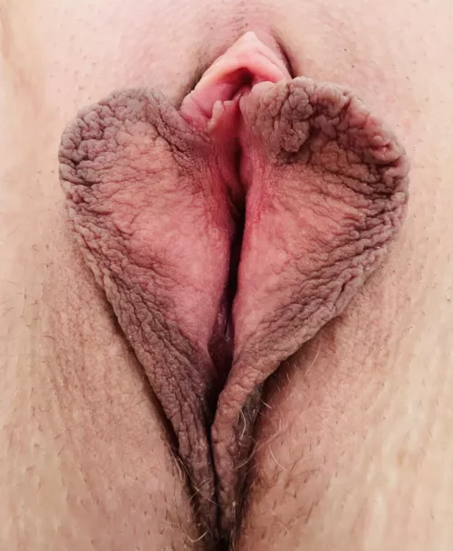 A perfect and clean heart shaped pussy.