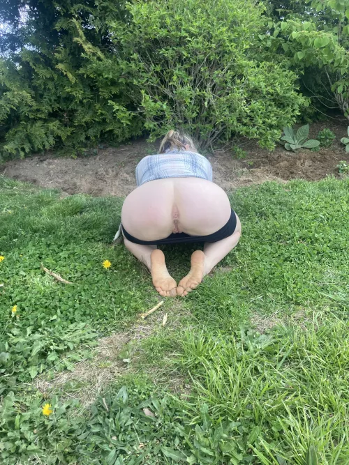 Anyone want to help me tend to my garden