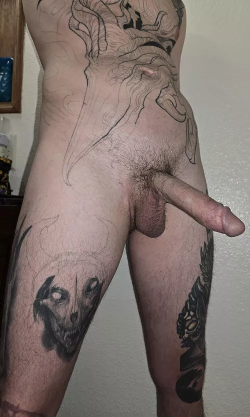 Can I interest you in some XL cock? 