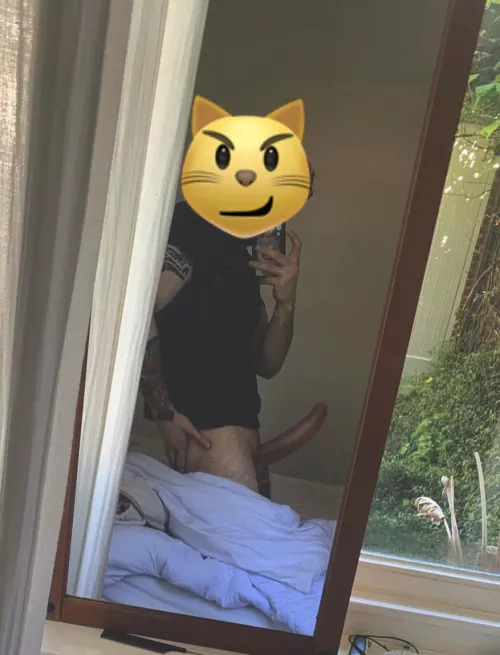 Can you rate me please?