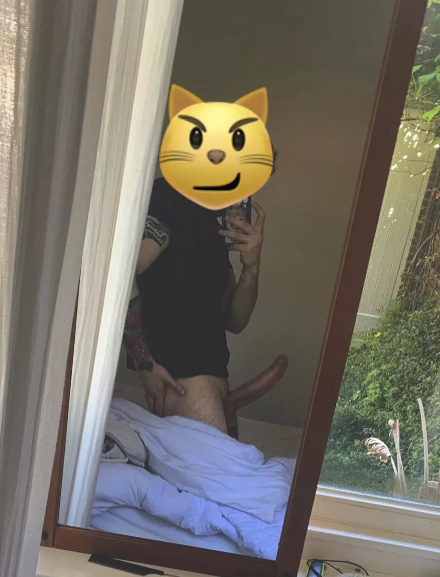 Can you rate me please?