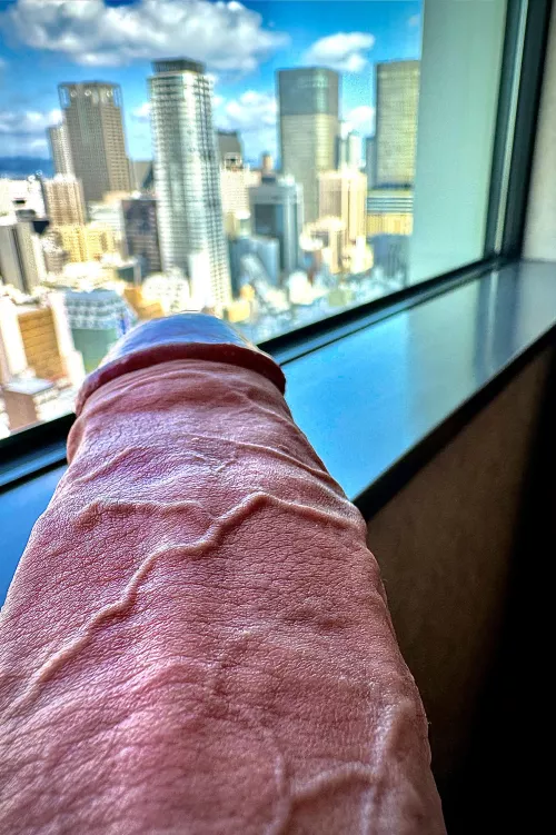 Enjoy the view or take care of my dick?