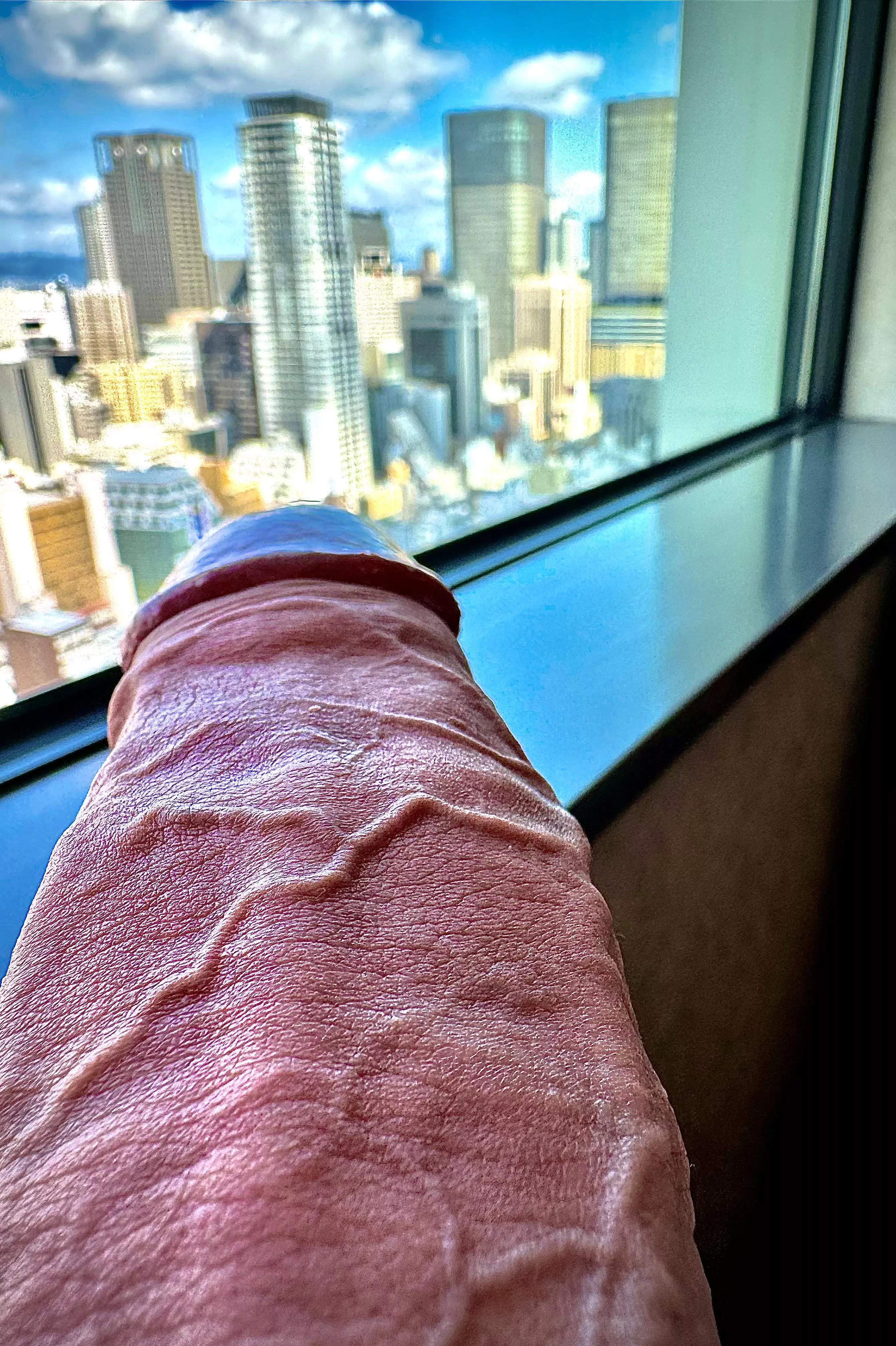 Enjoy the view or take care of my dick?