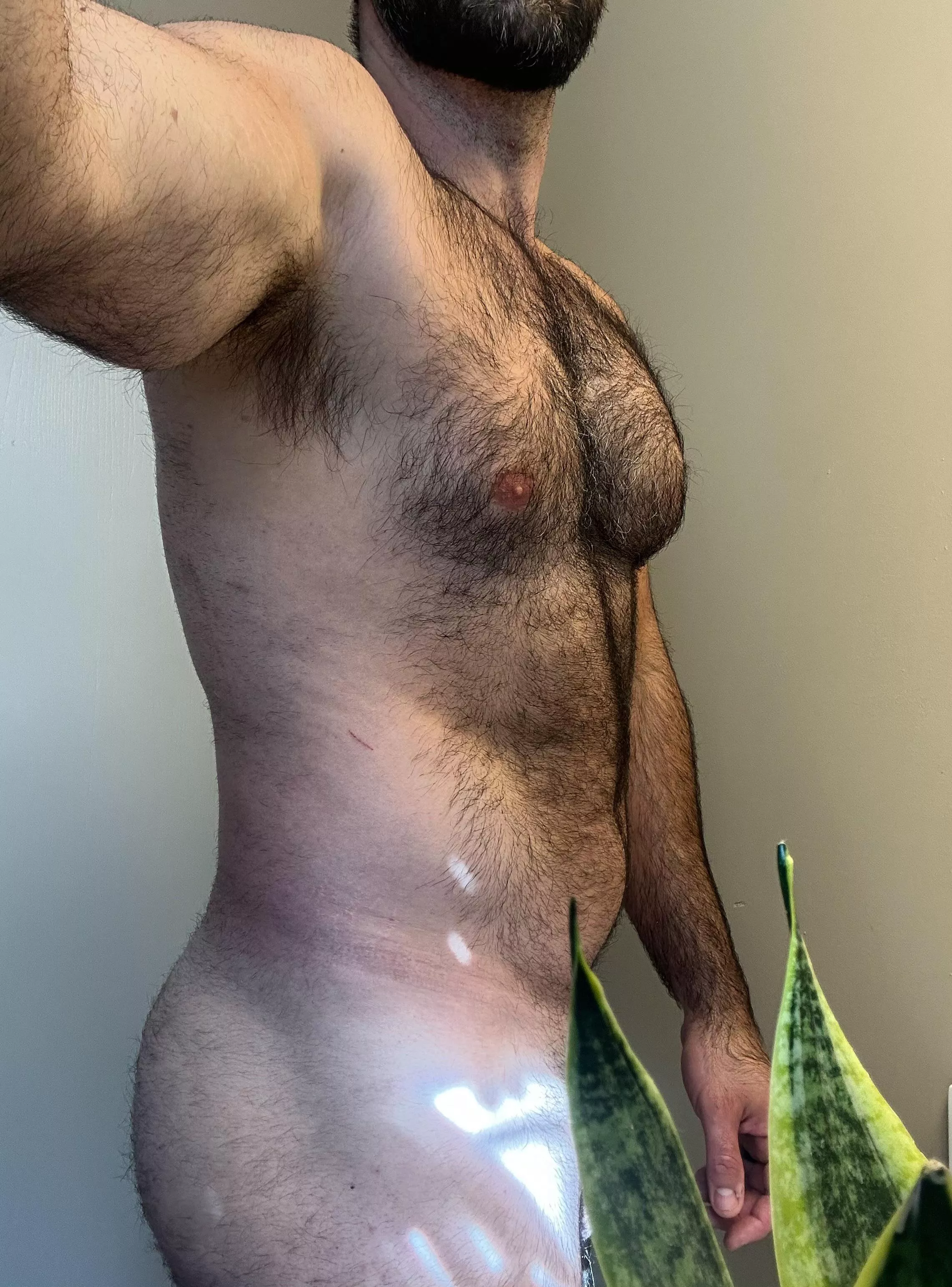 Hairy Au naturale