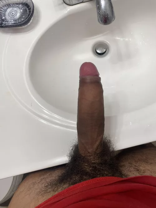 I need a set of holes to fuck up