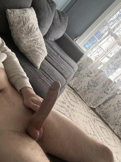 If you were my neighbor, would you take a second look in my window?