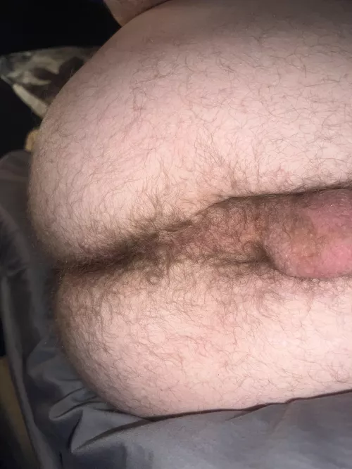 It's a furry Friday, that's for sure 😏