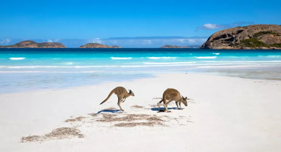 Lucky Bay Australia