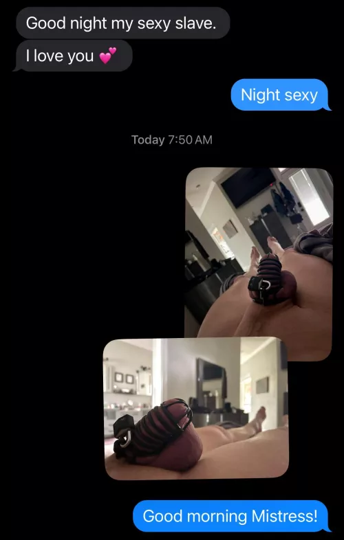 Morning proof for my Mistress as she is out of town!  Now I wait for my list of chores.