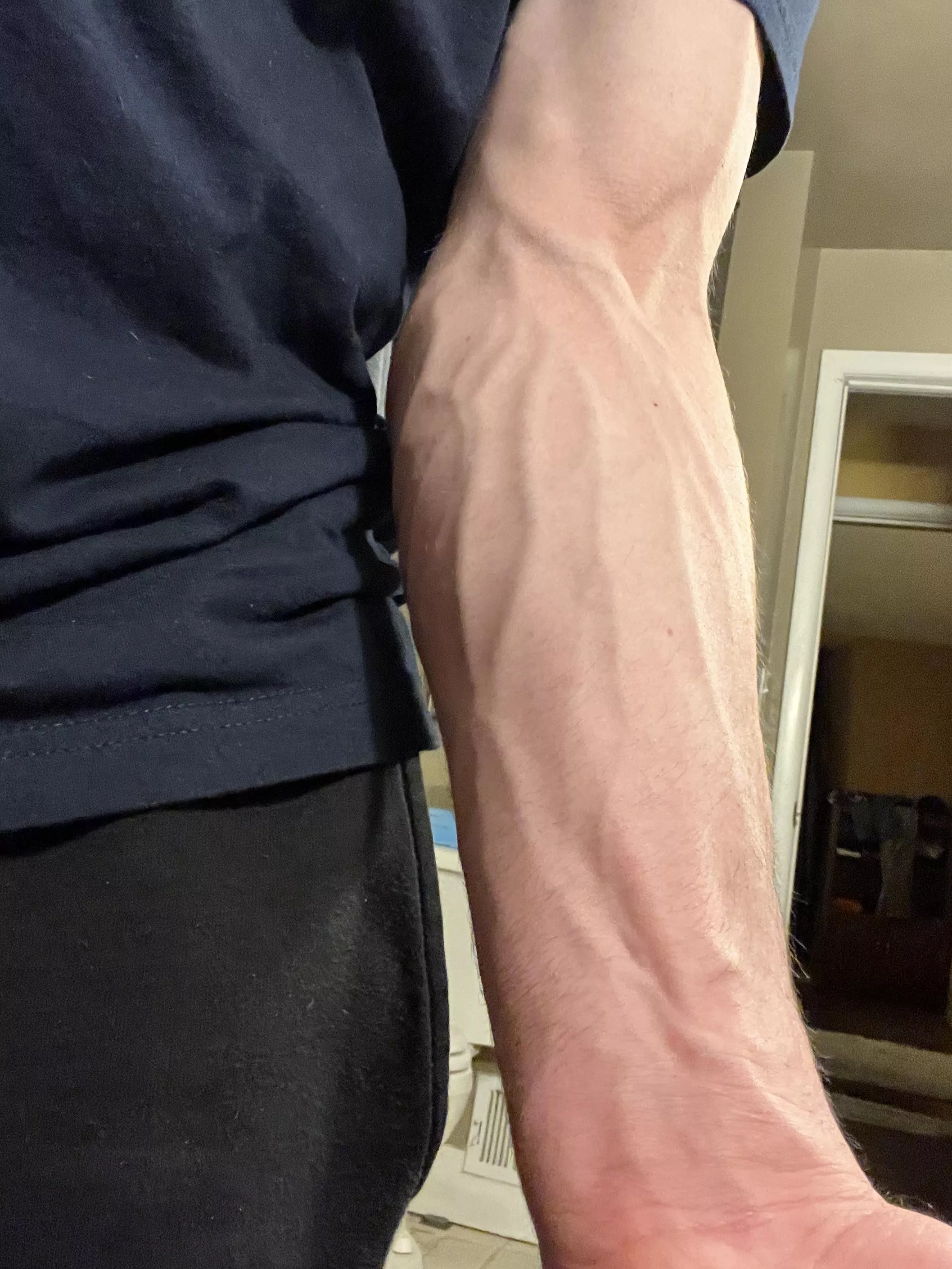 My forearms in the morning…