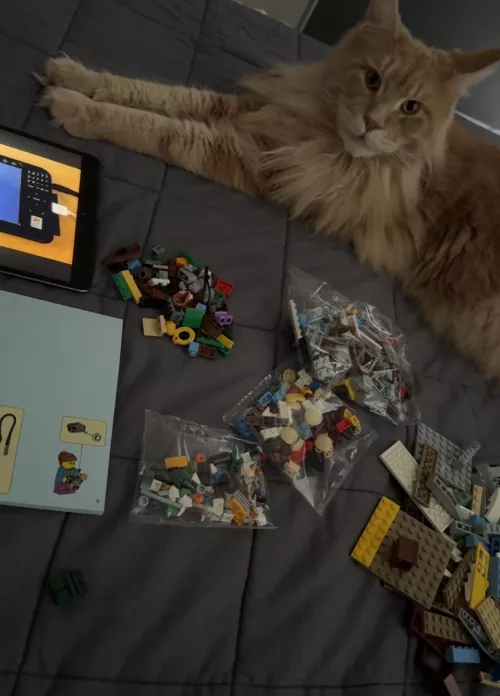 My kinda afternoon ✨