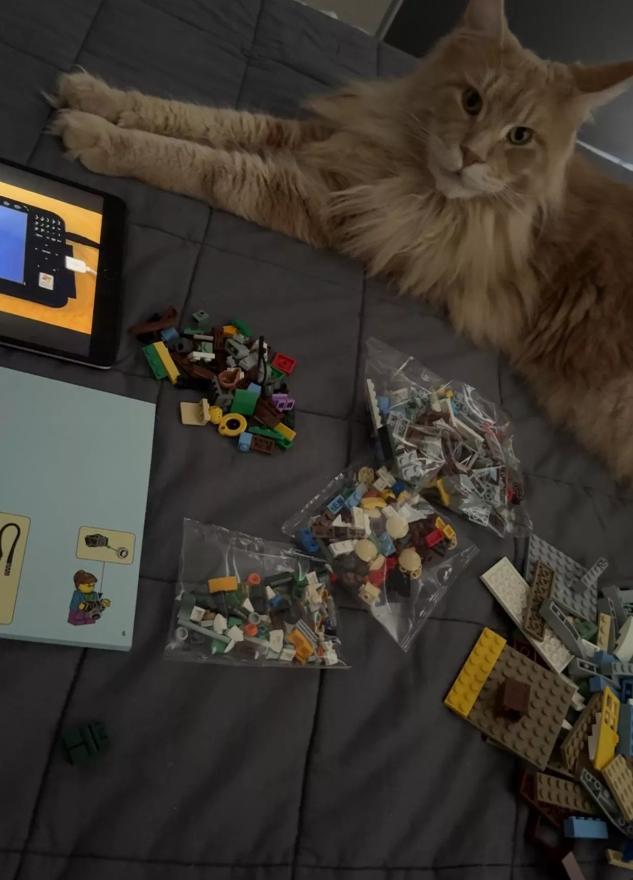 My kinda afternoon ✨