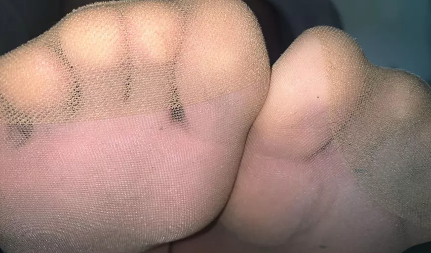 My stinky nylons need sniffed..
