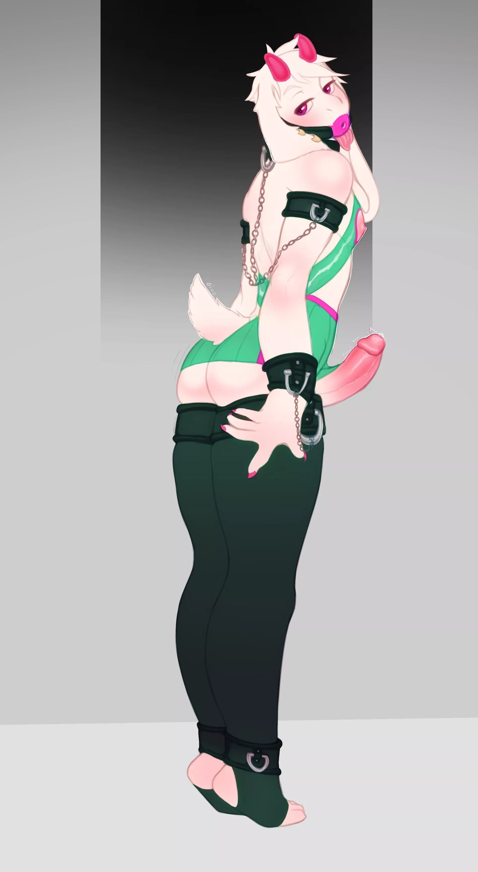 Personal Entertainment (givo) [M]