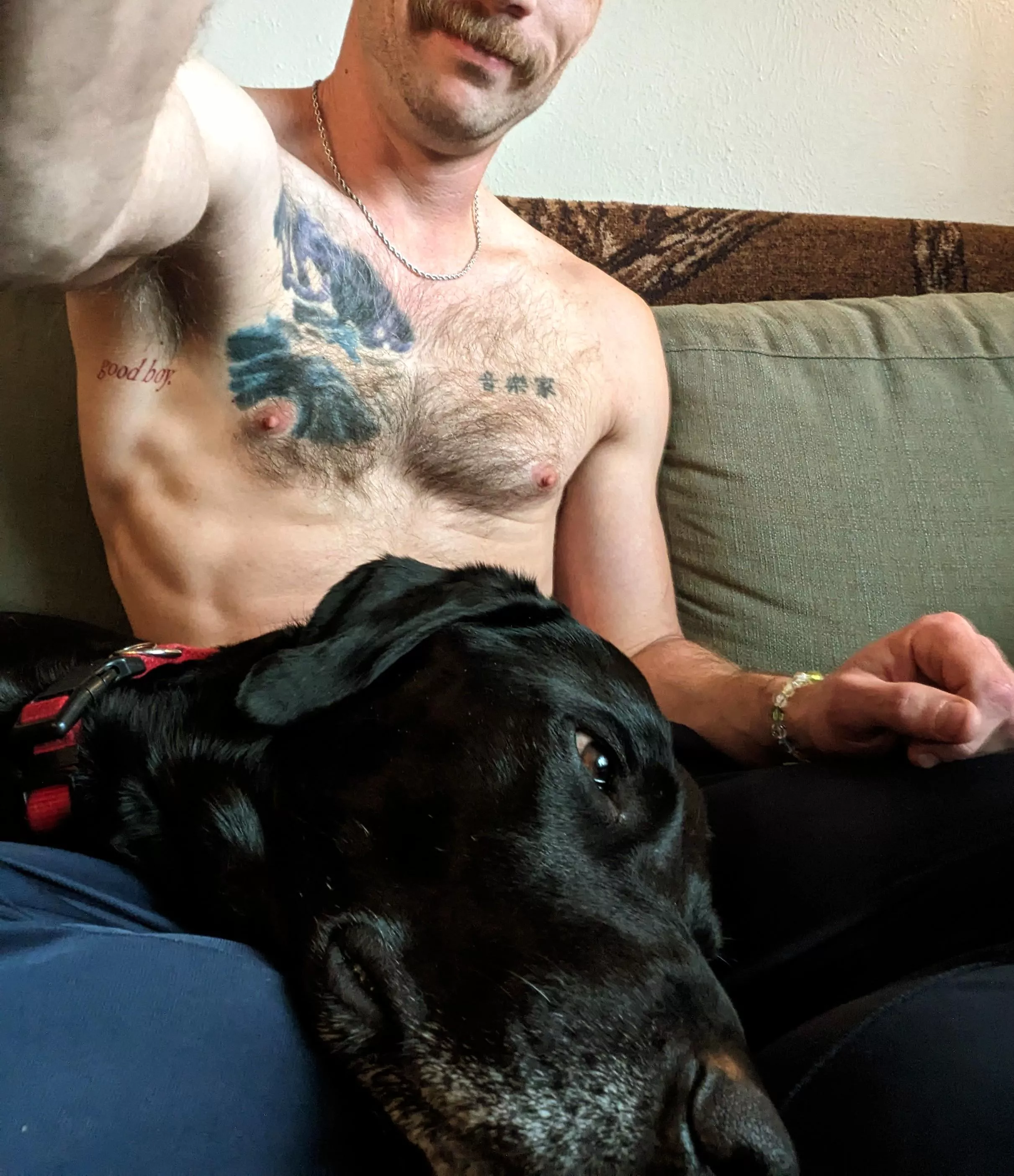 Rainy Morning Couch Cuddles