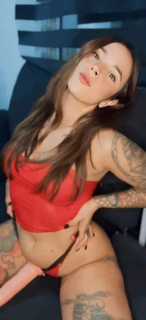 Ready to take you on a wild ride.