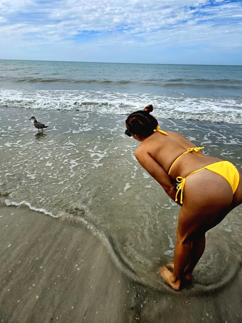 Stopping for a moment to admire nature's beauty