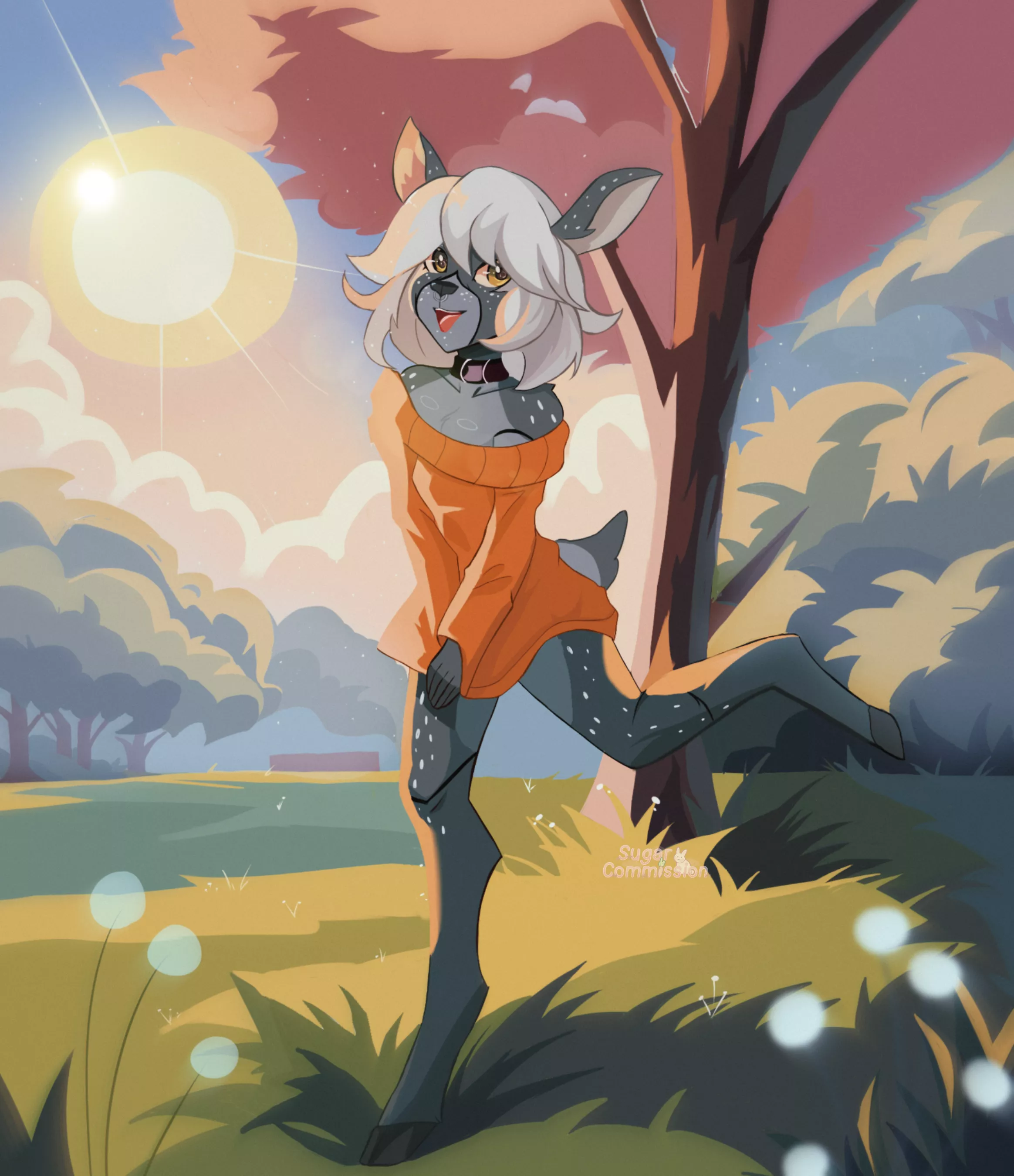 sunny fawn for your attention