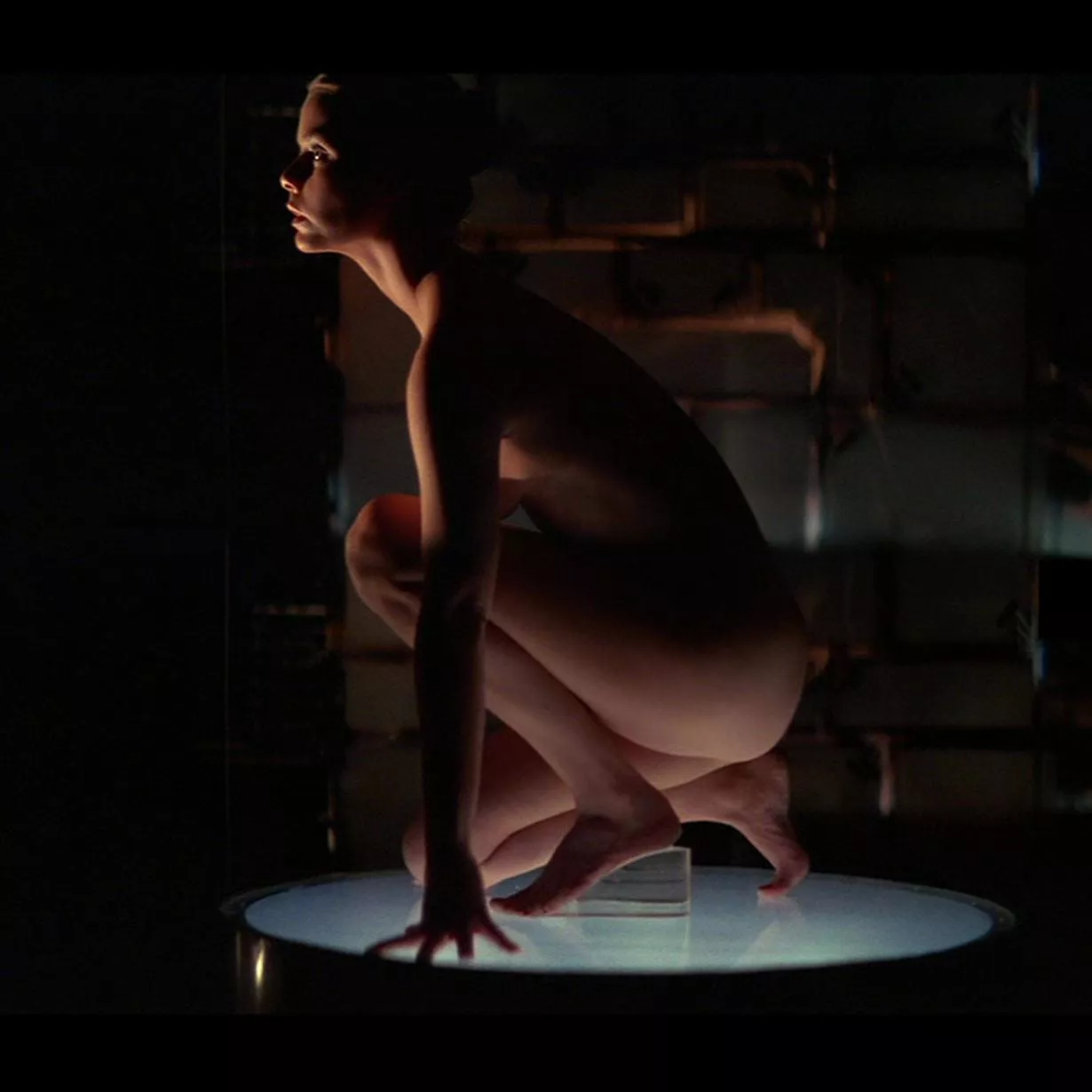 Susan Dey, in the 1981 movie, 