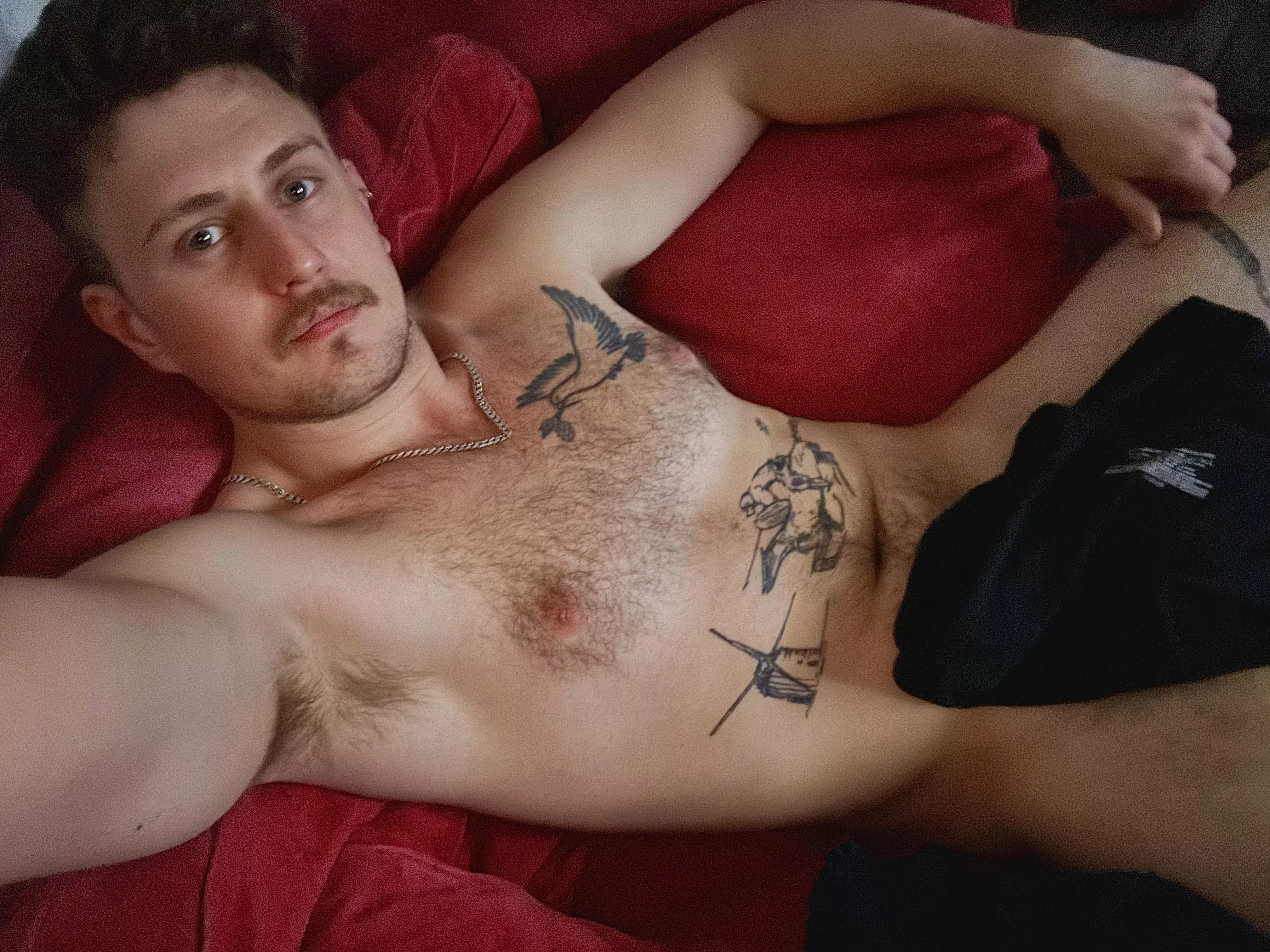 What movie are we watching tonight?