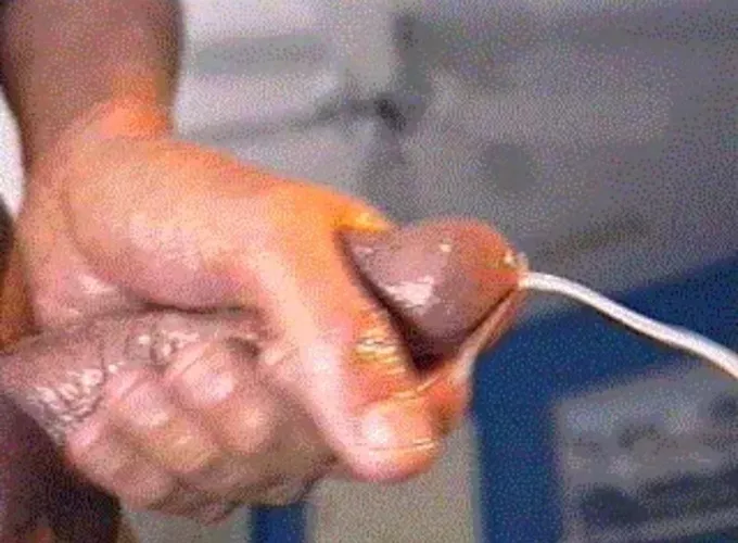 Who’s going to catch it?