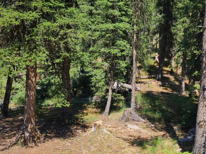 Would you notice me tied up 25 meters from the edge of the parking lot? [oc] 