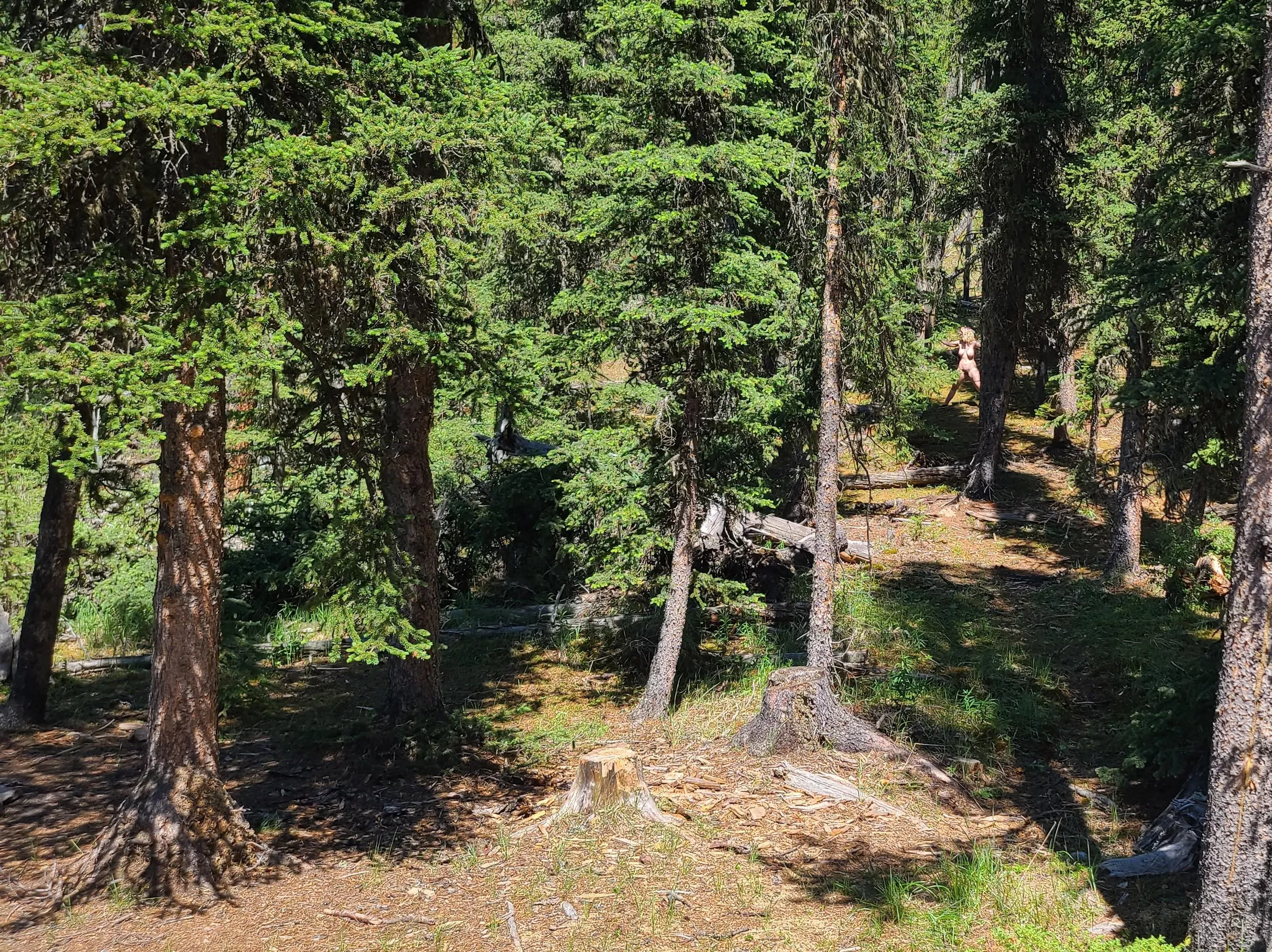 Would you notice me tied up 25 meters from the edge of the parking lot? [oc] 