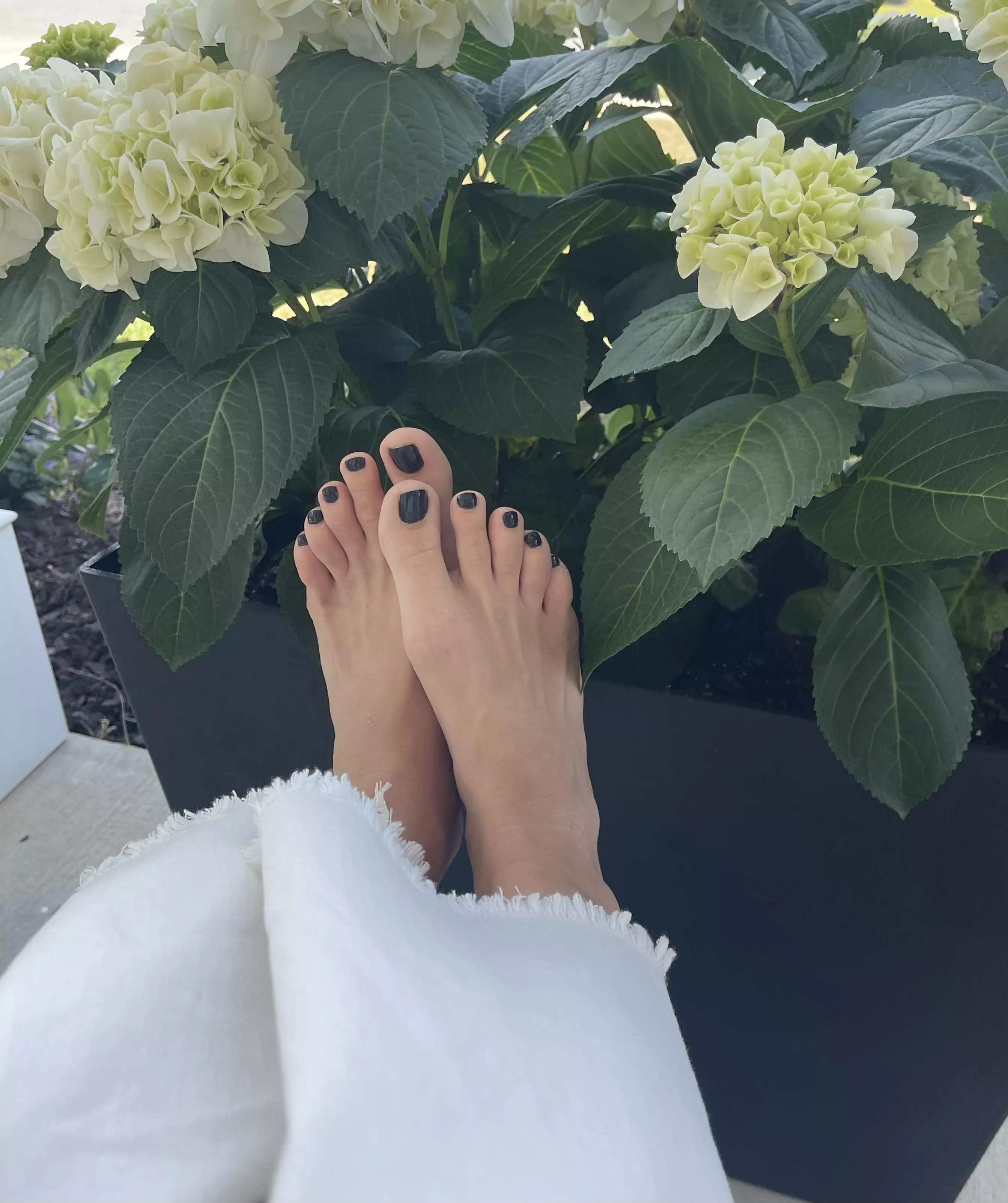 You like my new flower pot?