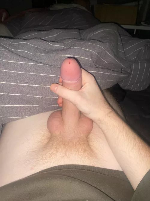 20m humiliate me with ur big cock then fuck my gf snap: austen_folkner