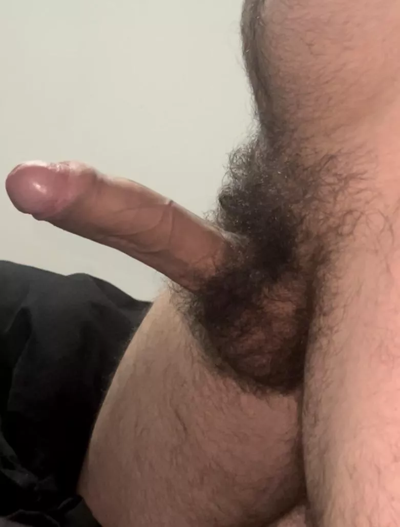 24 yrs old. Do you like my big hairy cock?Dms open 😈💪🏼