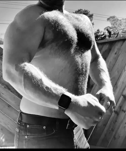 39 M SantaCruz, CA - XXXL BWC muscle stud